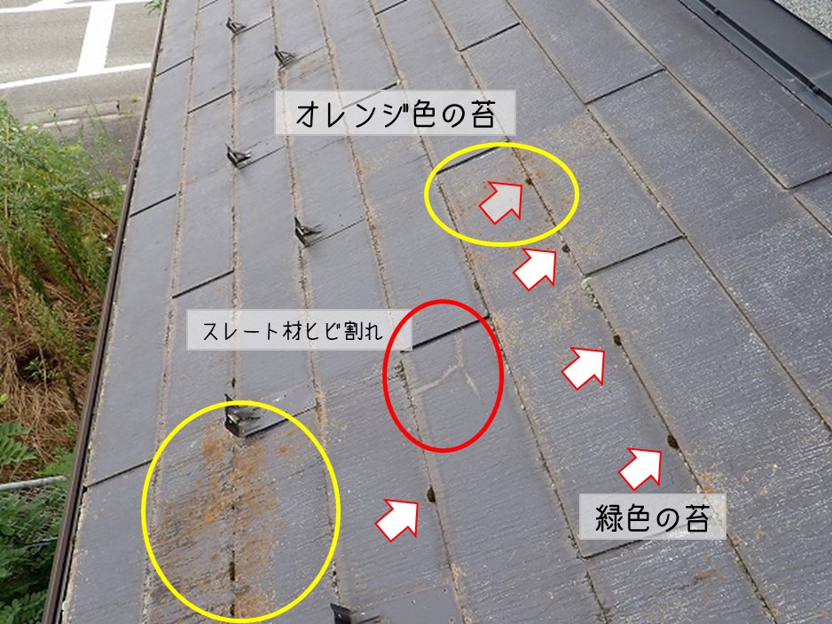 東広島市　化粧スレート　屋根調査　１階屋根調査 スレート材　ヒビ割れ 苔